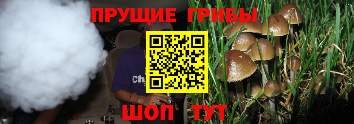 где купить   Галлюциногенные грибы GOLDEN TEACHER  Вход с VPN  Усть-Джегута  Псилоцибиновые грибы Magic Shrooms 