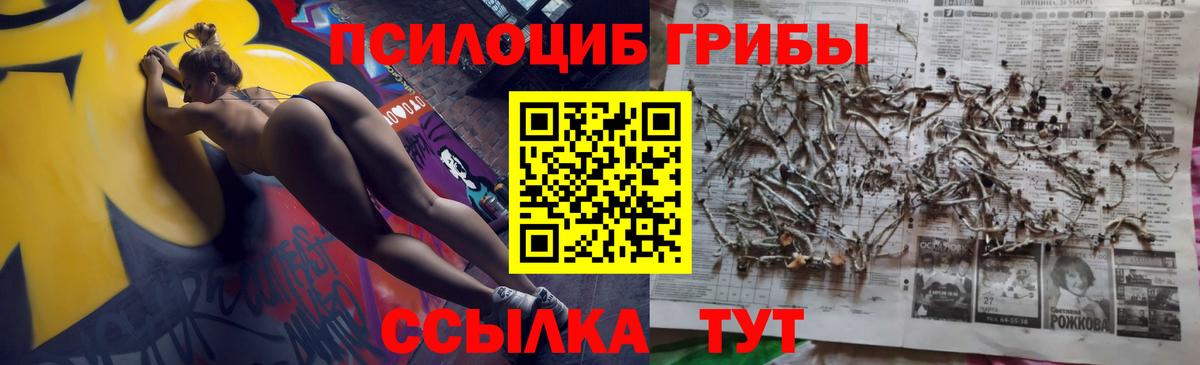 Псилоцибиновые грибы ЛСД Усть-Джегута